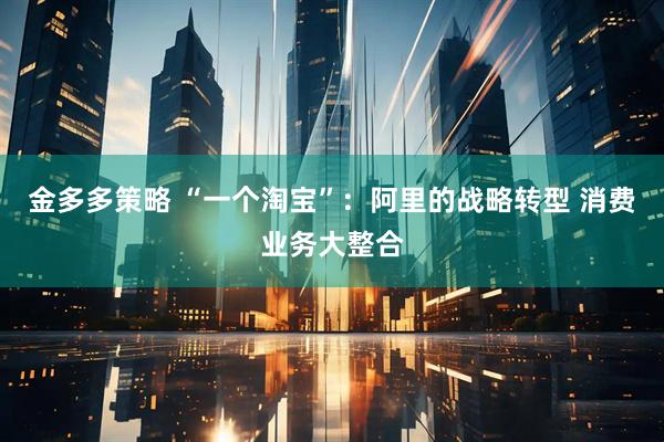 金多多策略 “一个淘宝”：阿里的战略转型 消费业务大整合