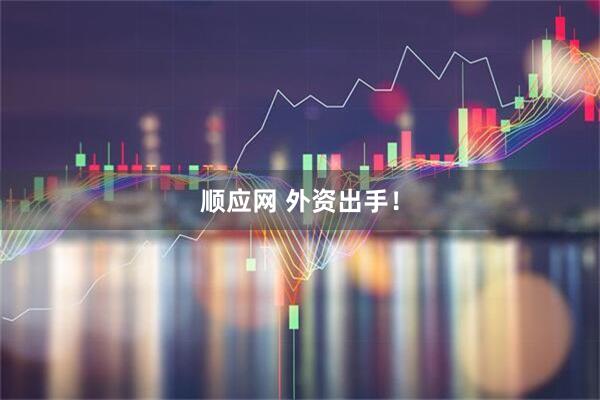 顺应网 外资出手！