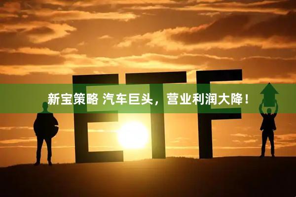 新宝策略 汽车巨头，营业利润大降！