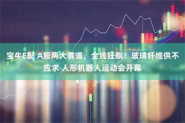 宝牛E配 A股两大赛道，全线狂飙！玻璃纤维供不应求 人形机器人运动会开幕