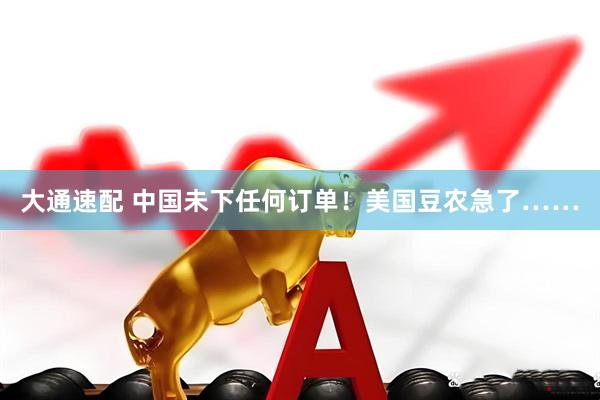 大通速配 中国未下任何订单！美国豆农急了……