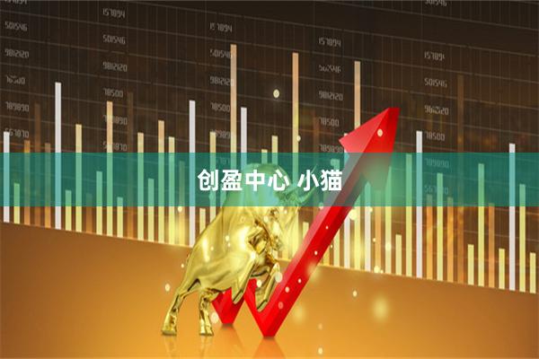 创盈中心 小猫