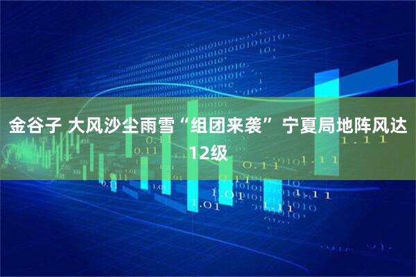 金谷子 大风沙尘雨雪“组团来袭” 宁夏局地阵风达12级