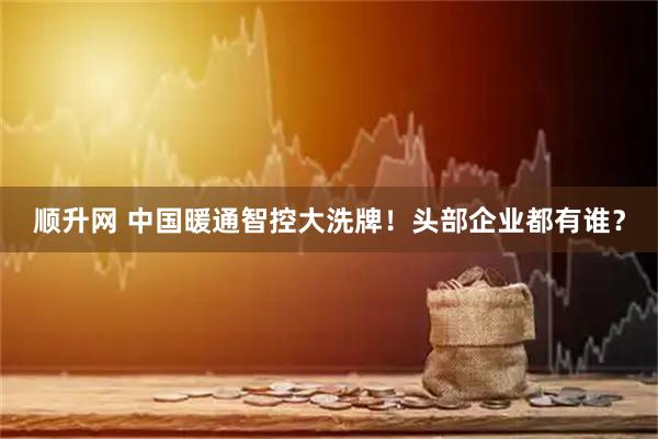 顺升网 中国暖通智控大洗牌！头部企业都有谁？