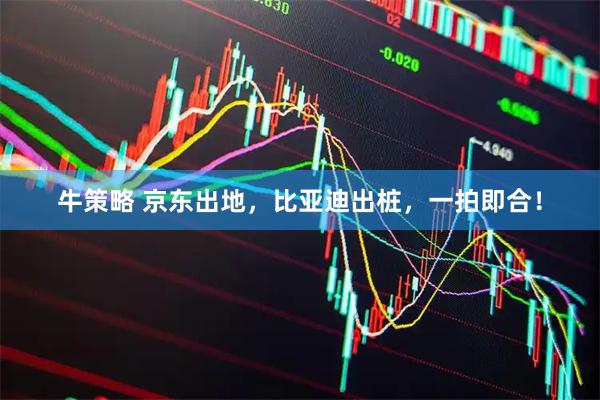 牛策略 京东出地，比亚迪出桩，一拍即合！