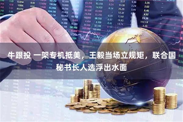 牛跟投 一架专机抵美，王毅当场立规矩，联合国秘书长人选浮出水面